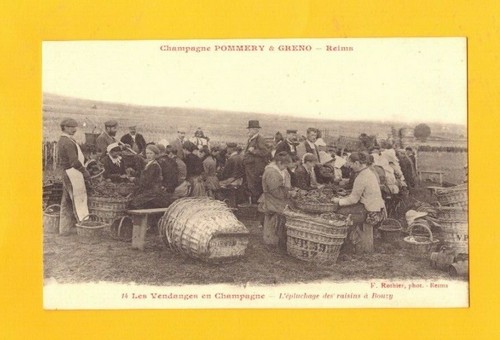 Reims bouzy vendangeurs - (51),
