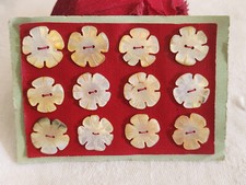 Rare petite plaque boutons anciens en nacre  1,4 cm  lot de 12 n°3K