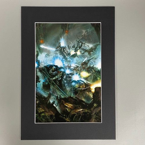Gris chevaliers espace - espace, marines