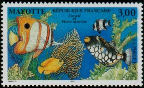 Timbre mayotte 51 - timbre, n°51