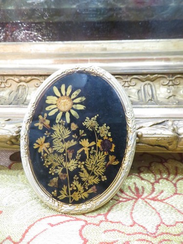 Ancien herbier naturel dans - ancien,