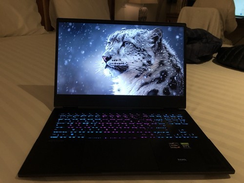 Portable gamer pouces - pc,