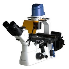 OX.2253-PLPHF Euromex Microscope Inversé Trino Pour Fluorescence En Champ Clair