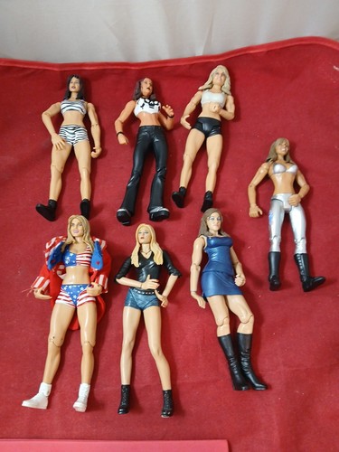 Wwe woman divas - woman's, lot