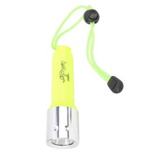 Lampe De Plongée Puissante