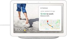 Google Assistant Vocal Nest