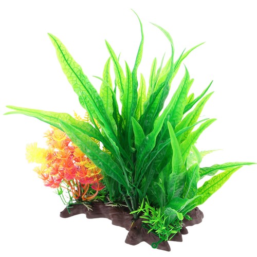 Décoration des plantes - des,