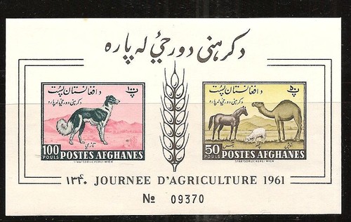 Afghanistan 495 - #, (