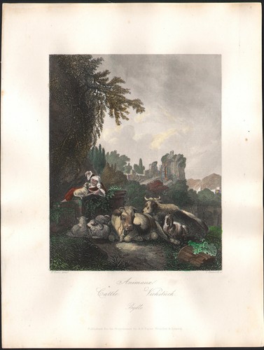 1860 gravure aquarellée les - 1860,