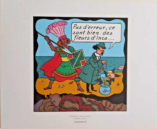 Libris tintin temple du - tintin,