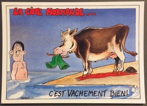 Carte postale humoristique - carte,