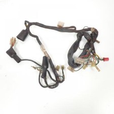 Faisceau électrique origine