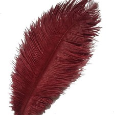 Lot de 10 plumes d’autruche