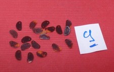 tres rare lot de pieces