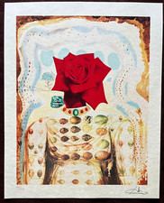 Salvador Dalì (Lithographie