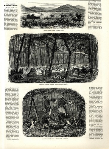 Une page gravures 1856 - page/gravures,