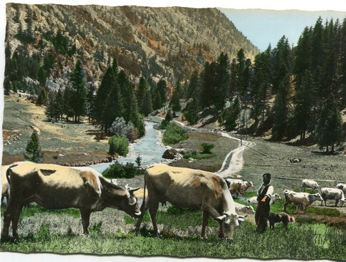 Carte paysage des - paysage, alpes