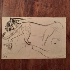 Dessin Ancien Animalier René
