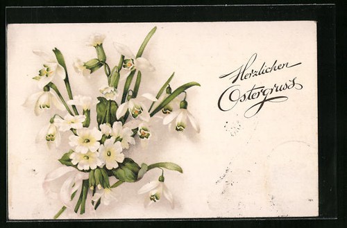 Carte postale joli - joli, perce-neige