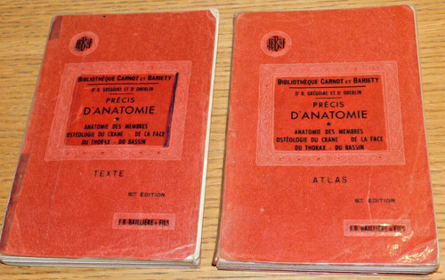 Anatomie medical medecine - anatomie,