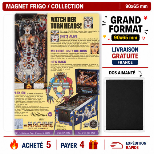 Magnet frigo flipper the - frigo,