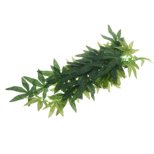 Plantes reptiles terrarium - reptiles,