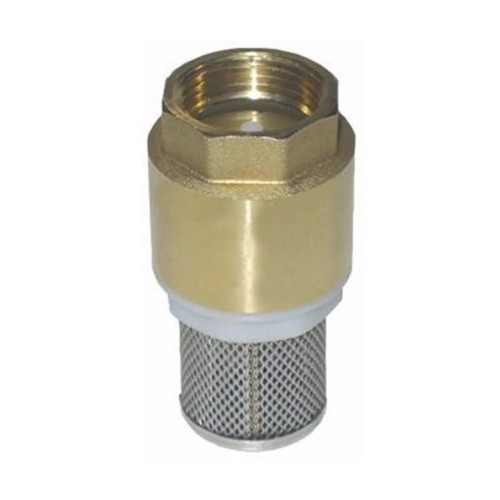 Clapet anti retour avec - clapet, 1"
