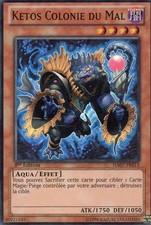 Ketos colonie mal ha07 - ketos,