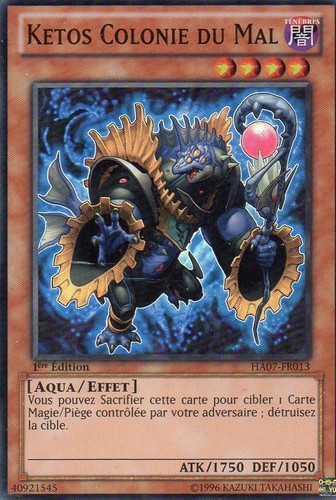 Ketos colonie mal ha07 - colonie, du