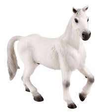 62674 - - Animal - Cheval