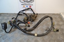 Faisceau complet Honda 650 nx Dominator RD02 après 1992 loom assy