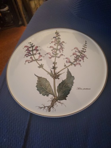 Botanica villeroy boch cake - by,