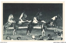 ASKP8-0469-CIRQUE - Une exclusivite RADIO-CIRCUS - LA PYRAMIDE A QUATRE CHEVEA