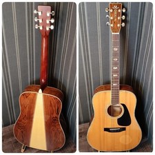 Morris TF-801 Vintage Acoustic