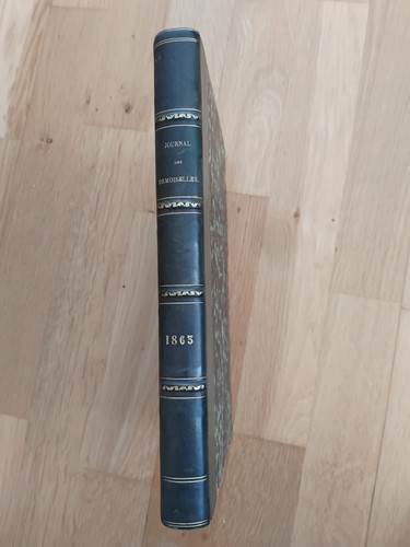 Journal des demoiselles 1865