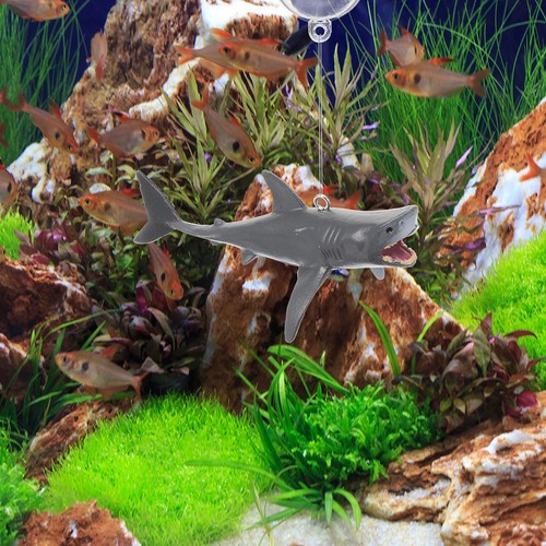 Décoration requin - , de