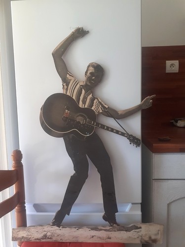Johnny hallyday rare plv - johnny,