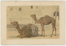 CDV rehaussée circa 1865