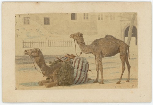 Cdv rehaussée circa 1865 - cdv,