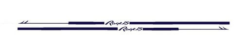 Boston whaler rage - 2,