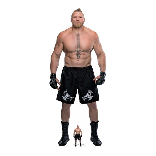 Brock lesnar wwe - lesnar,