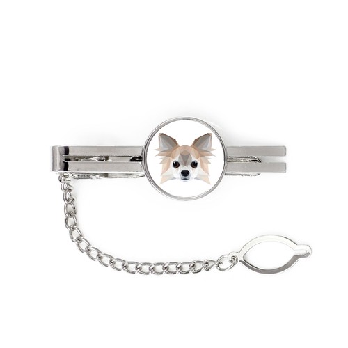 Chihuahua poil long pince - chihuahua,