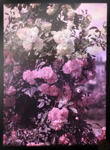 Lumiere photographie - lumiere,