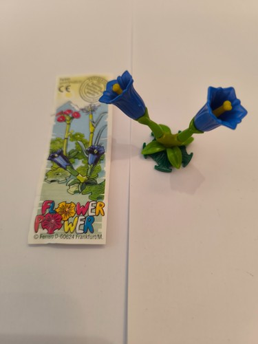 Jouet kinder fleurs - kinder, der