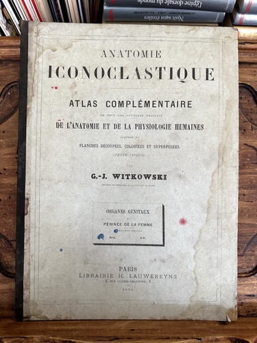 Witkowski anatomie - witkowski,