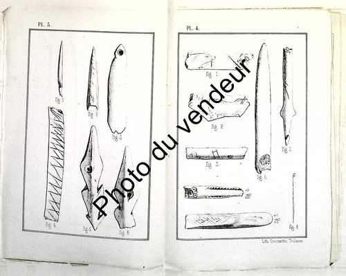 Paléontologie 1867 grotte de - paléontologie,