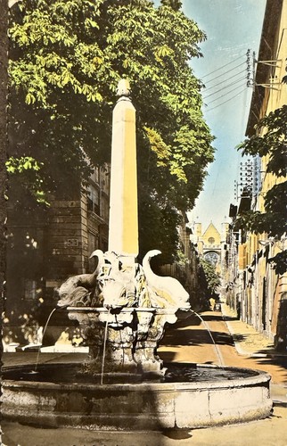 Carte postale postcard - 🦬,