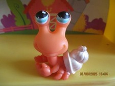 Petshop Bernard L'hermite #