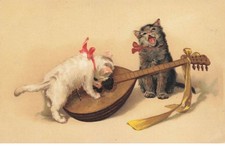 CHATS #MK39901 CHATS BLANC ET