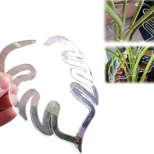 Solution innovante pour vos